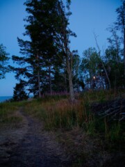 Near Sundsvall Västernorrland Sweden Near Sundsvall Västernorrland Sweden