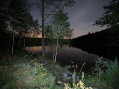 This picture was taken 2016 near a lake in Dalsland in Dals-Eds kommun in Sweden. This picture was taken 2016 near a lake in Dalsland in Dals-Eds kommun in Sweden.