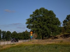 E22 near Gamleby direction to Stockholm Sweden E22 near Gamleby direction to Stockholm Sweden