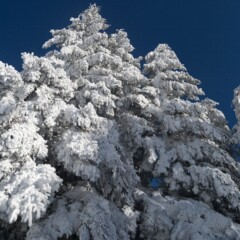 This picture was taken on Piz Alun
