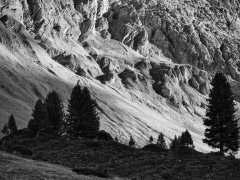 This picture was taken near Aela lodge SAC in Graubünden Switzerland. This picture was taken near Aela lodge SAC in Graubünden Switzerland.