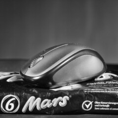 This is one of the pictures from my studio project "mouse on mars" from the year 2012